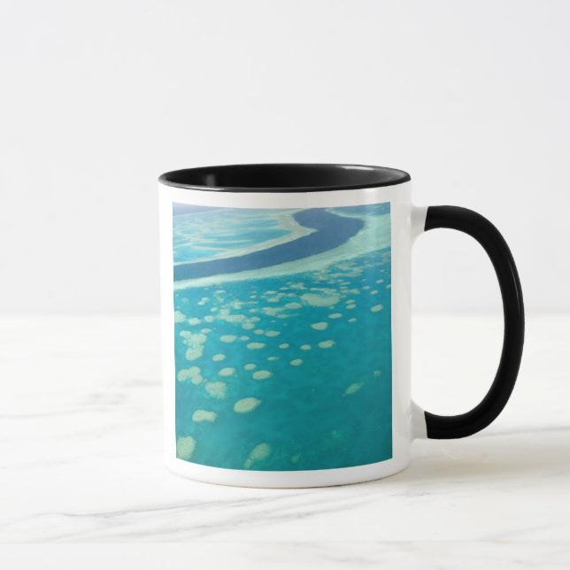 Taza Australia, Queensland, Whitsunday Coast, Grande 4 (Derecha)