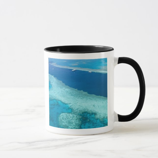 Taza Australia, Queensland, Whitsunday Coast, Great 5 (Derecha)