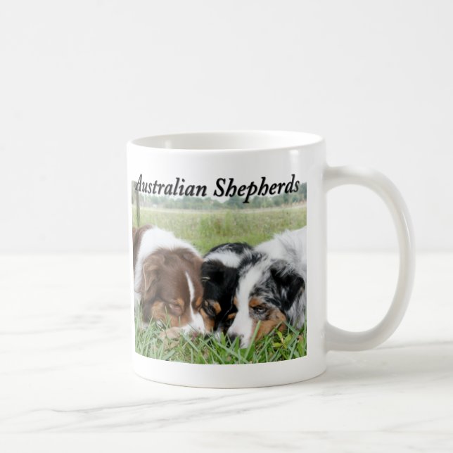 Taza australiana del pastor (Derecha)