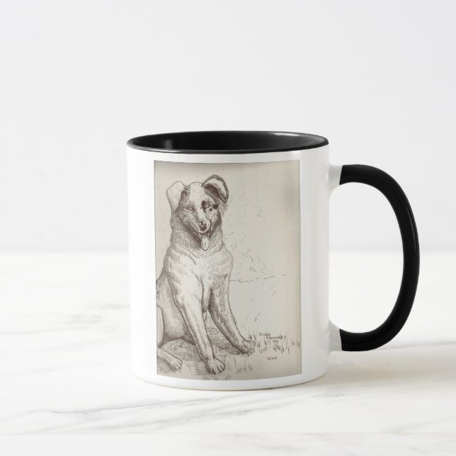 Taza australiana del pastor (Derecha)