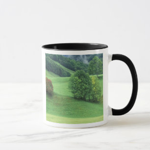 Taza Austria. La ladera verde rodante y los árboles