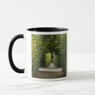 Taza Austria, Viena. Barroco de María Teresa 2