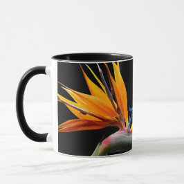 Taza Ave naranja de la planta de paraíso floreciente