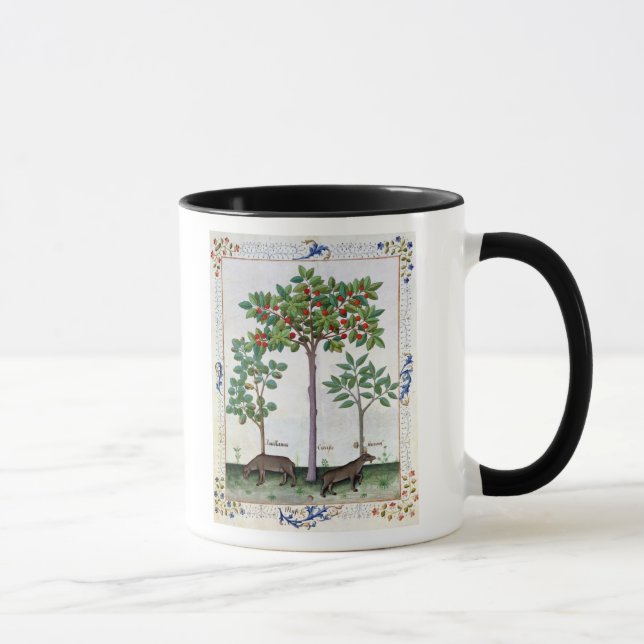 Taza Avellana Bush y cerezo (Derecha)