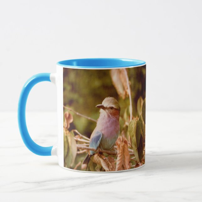 Taza Aviario (Izquierda)