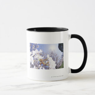 Taza Avispa en la flor de cerezo, cierre para arriba