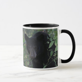 Taza Ayuda ahorrar una licencia del oso él solamente