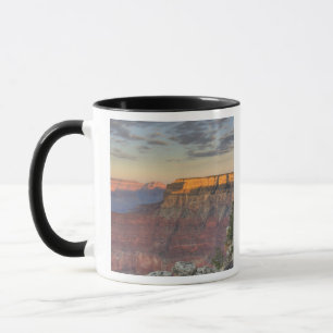 Taza AZ, Arizona, Parque Nacional del Gran Cánion, Sur