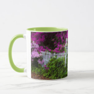 Taza Azaleas en primavera en Historic Isle of Hope