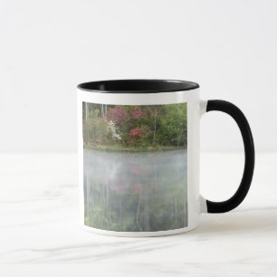 Taza Azaleas reflejándose en un estanque durante tempra