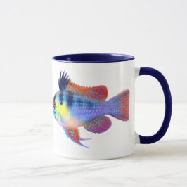 Taza azul alemana del Cichlid del enano del