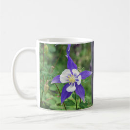 Taza azul de Colorado Columbine