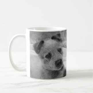 TAZA AZUL DE HEELER