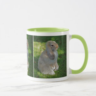 Taza Baby Minilop Rabbit Mug