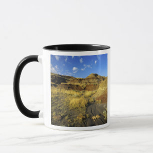 Taza Badlands en el Parque Provincial Dinosaurio en Alb