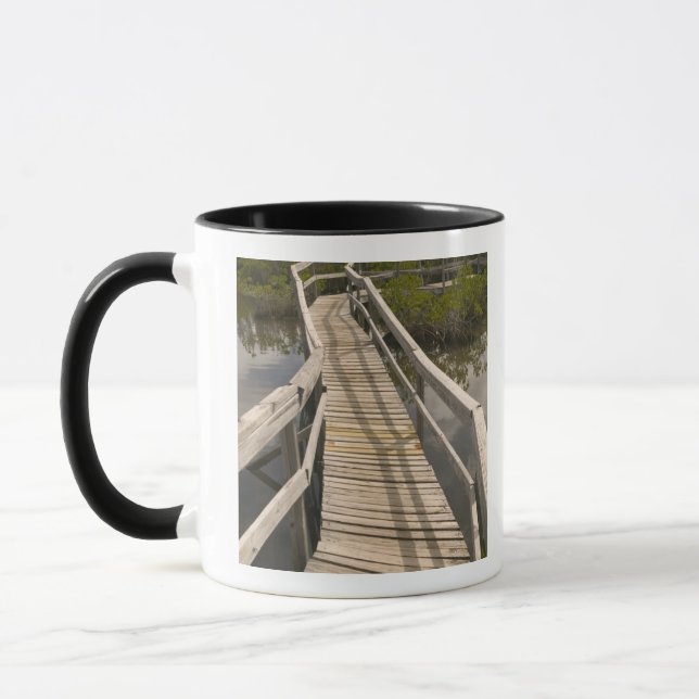 Taza BAHAMAS, Isla de Gran Bahama, Lado Este: (Izquierda)