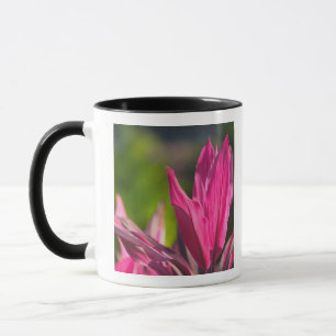 Taza BAHAMAS, Isla de Nueva Providencia, Nassau: Paraís