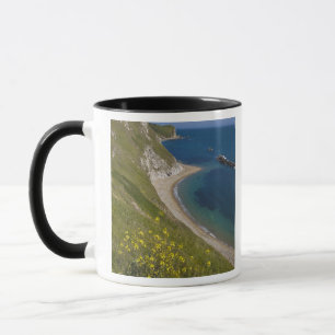 Taza Bahía de Man o War, Costa Jurásica, Lulworth, Dors