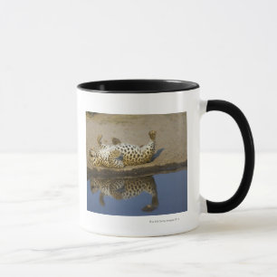 Taza Balanceo femenino del leopardo (pardus del