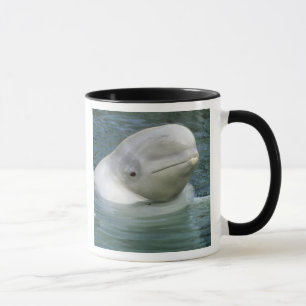 Taza Ballena Beluga, Delphinapterus leucas)
