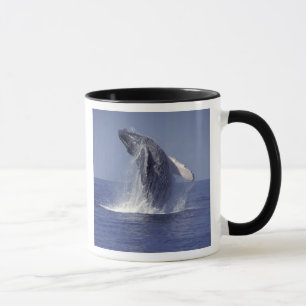 Taza Ballena jorobada rompiendo (Megaptera