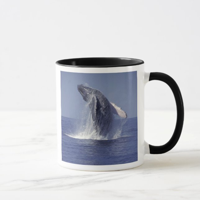 Taza Ballena jorobada rompiendo (Megaptera (Derecha)