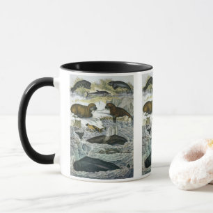 Taza Ballenas, focas y morsas, animales marinos antiguo