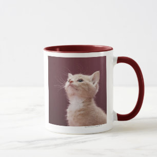 Taza Barbas del gatito