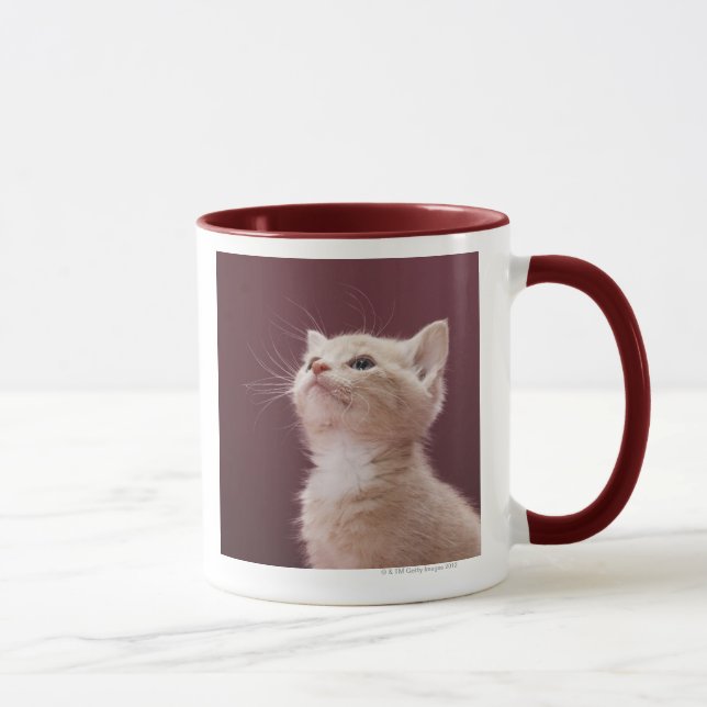 Taza Barbas del gatito (Derecha)