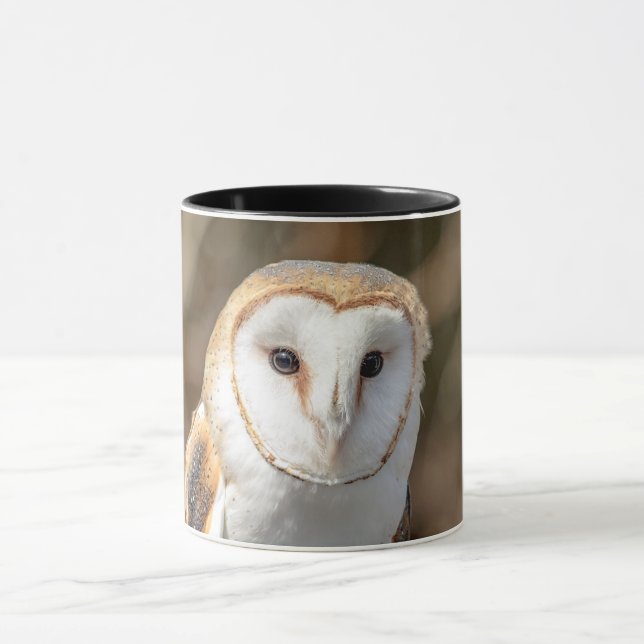 Taza Barn Owl (Centro)