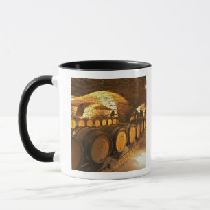 Taza barriles de roble en el sótano de Domaine Comte