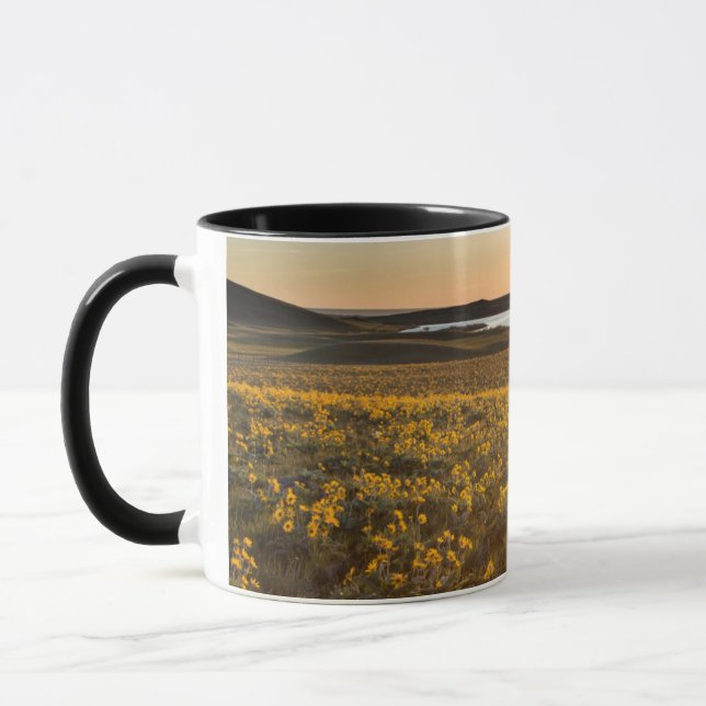Taza Base De Arrowleaf Balsamroot Flores Silvestres (Izquierda)