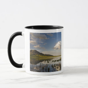 Taza Bear Butte se refleja en Bear Butte Lake cerca