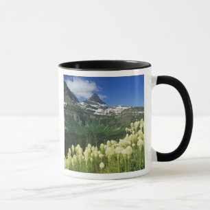 Taza Beargrass cerca de Logan Pass en Gacier National