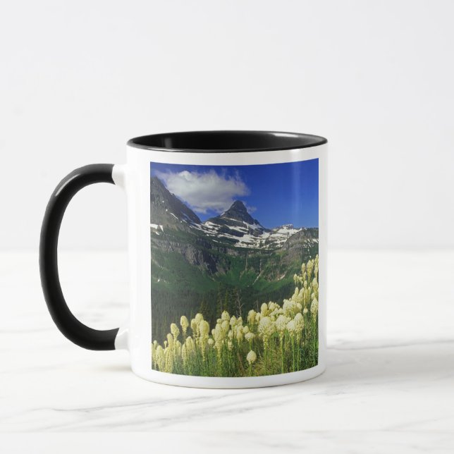 Taza Beargrass en el Paso Logan en el Parque Nacional G (Izquierda)