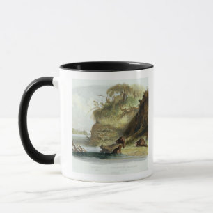 Taza Beaver la choza en el Missouri, platee 17 del