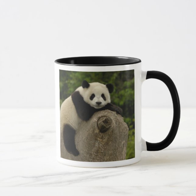 Taza Bebé de panda gigante (Derecha)