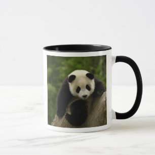 Taza Bebé de panda gigante