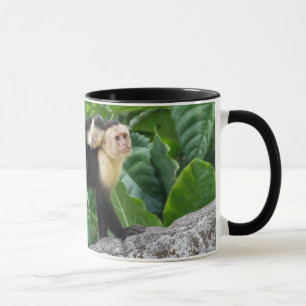Taza Bebé que lleva del mono adulto del capuchón en s