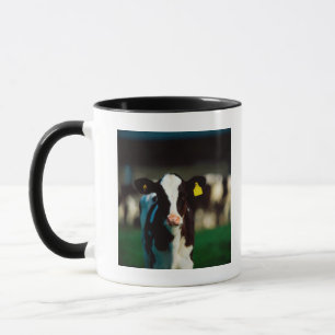 Taza Becerro del Holstein-frisón