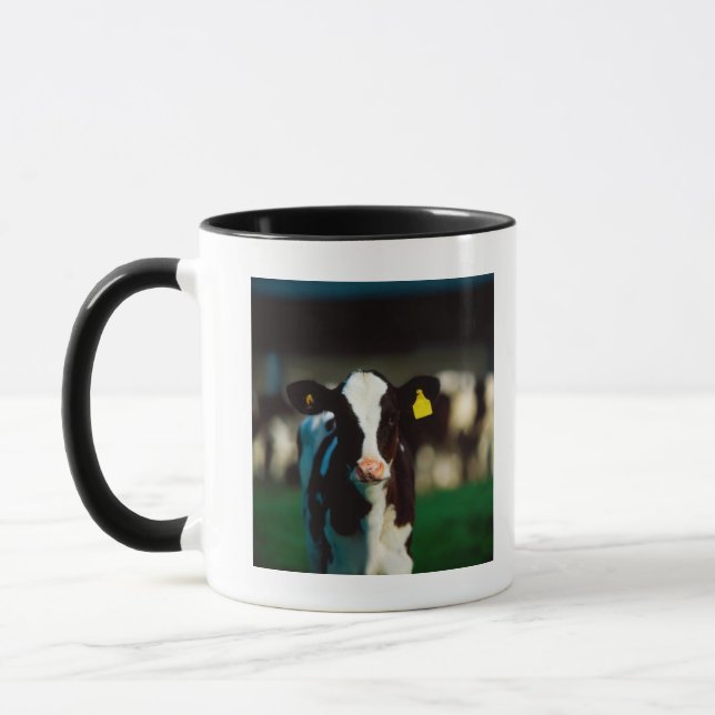 Taza Becerro del Holstein-frisón (Izquierda)