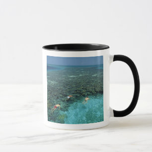 Taza Belice, Arrecife de la Barrera, Lighthouse Reef, A