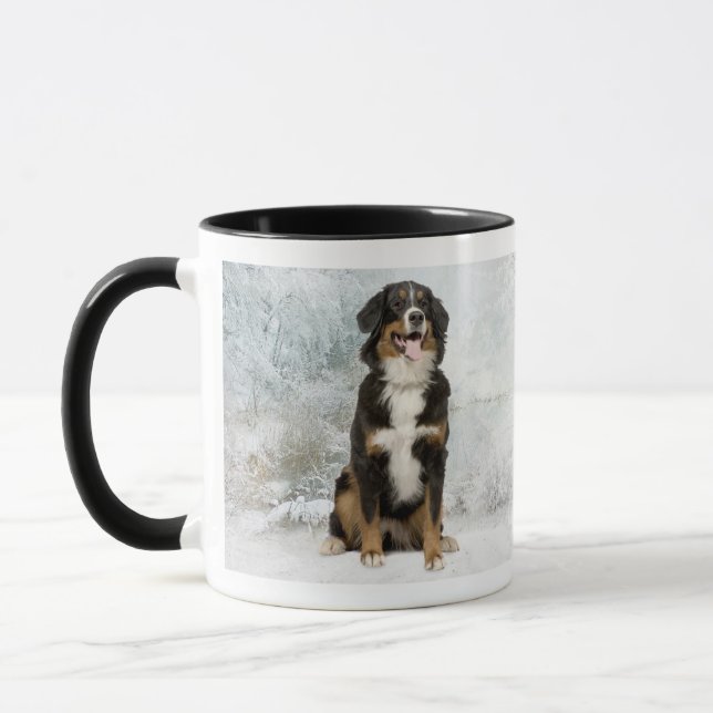 Taza Bernese Mt. Dog Mug (Izquierda)