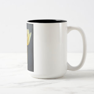Taza bicolor