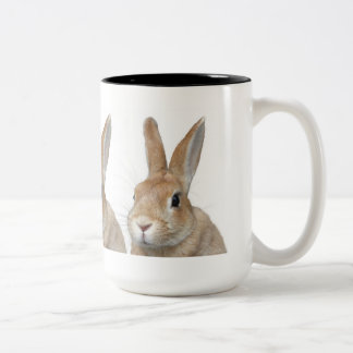 TAZA BICOLOR ウサギ