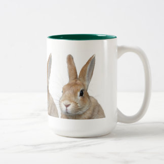 TAZA BICOLOR ウサギ