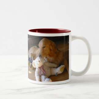 TAZA BICOLOR ゴールデンレトリーバー犬とテディーベア