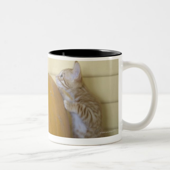 TAZA BICOLOR 0 (Derecha)