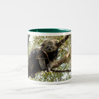 Taza Bicolor 001Bearcat