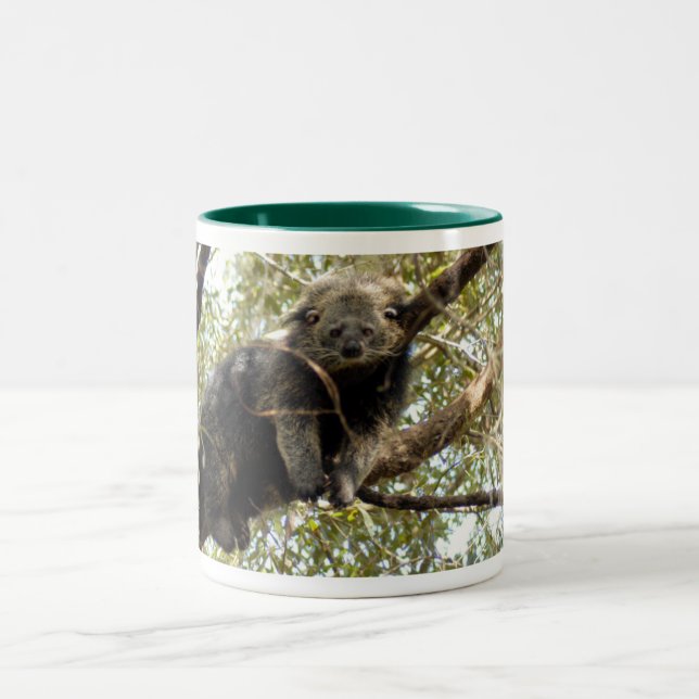 Taza Bicolor 001Bearcat (Centro)